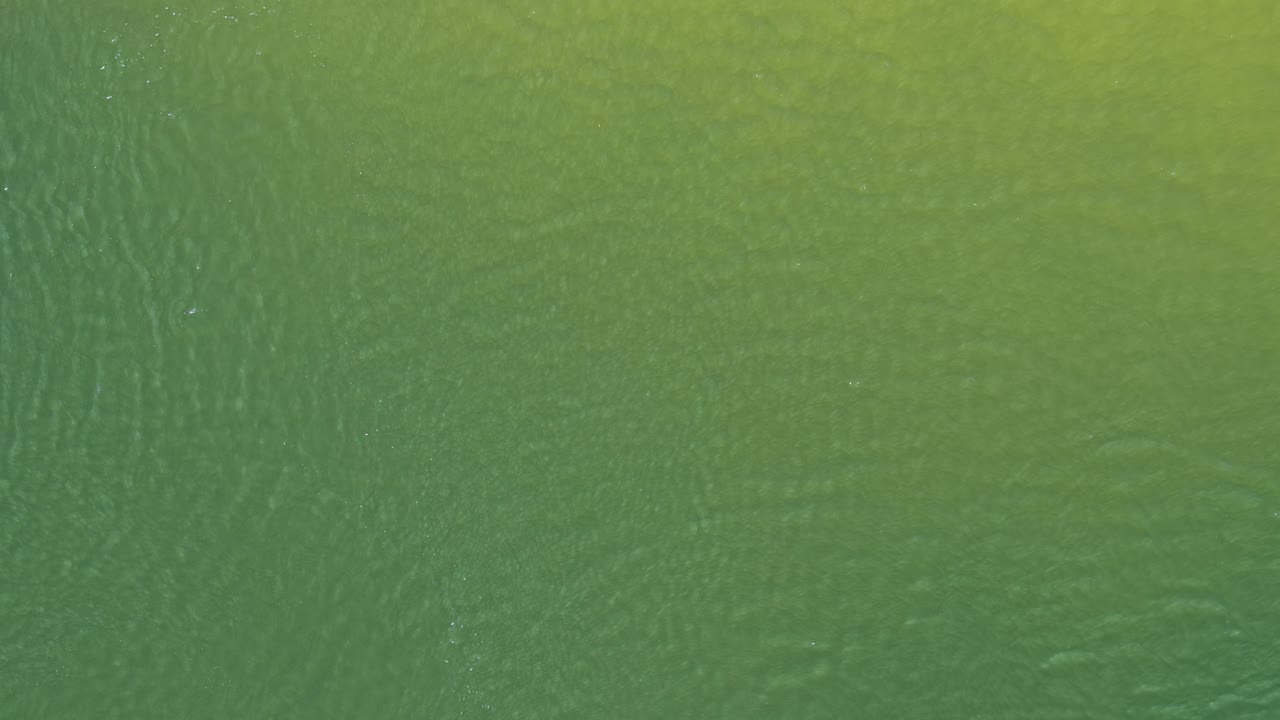 Drone captures tranquil green water texture with subtle ripples under natural daylight, steady overhead perspective