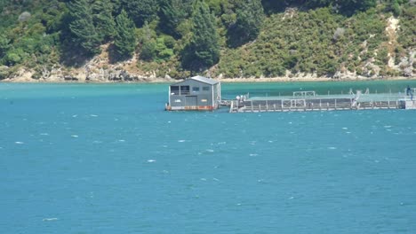 Fish-farm-floating-in-turquoise-blue-water