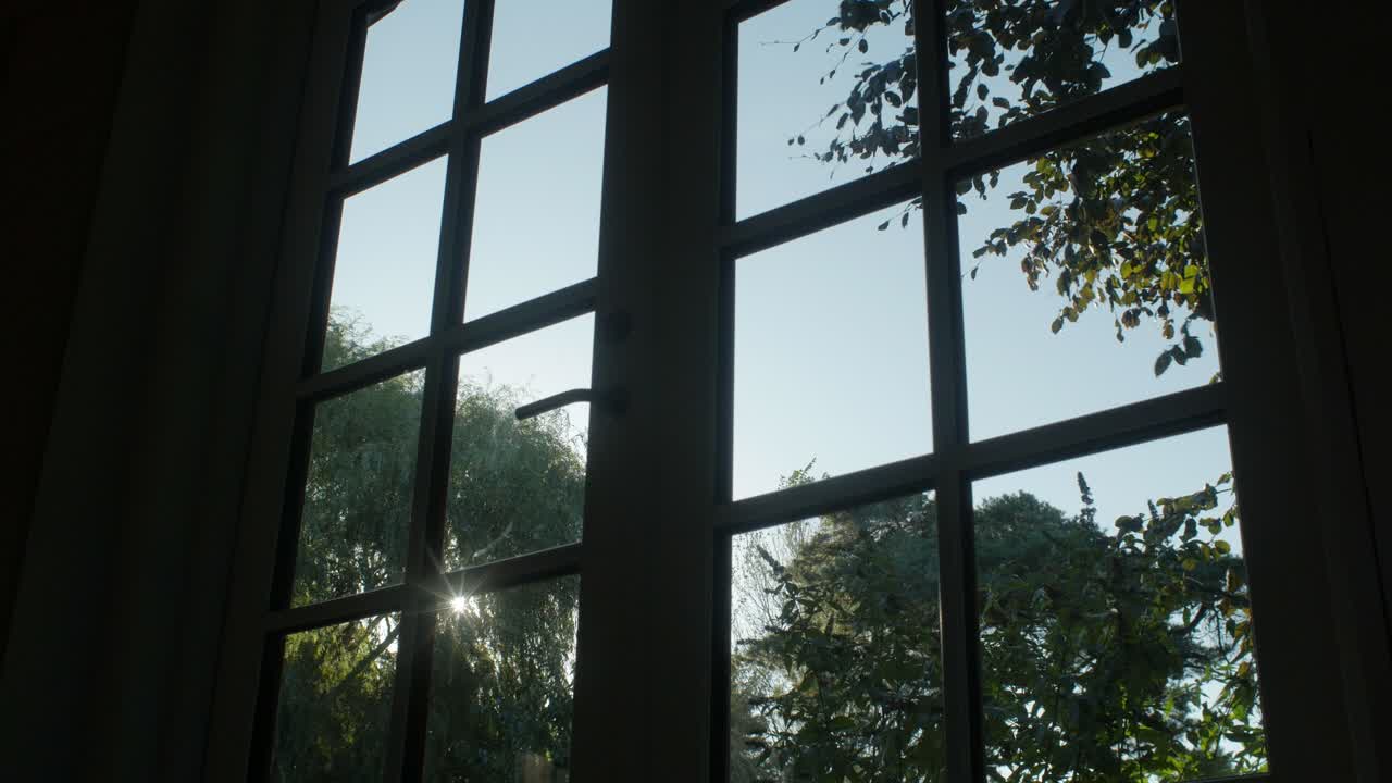 Sun shining through a window with view of trees