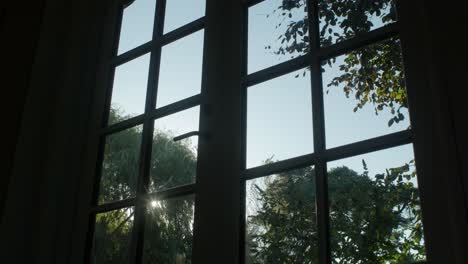 sun shining through a window with view of trees