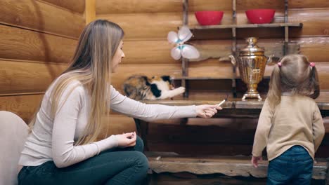 4k madre joven y pequeña hija dulce están jugando con gatitos