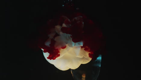 white flower in water blood red ink falls in slow motion abstract