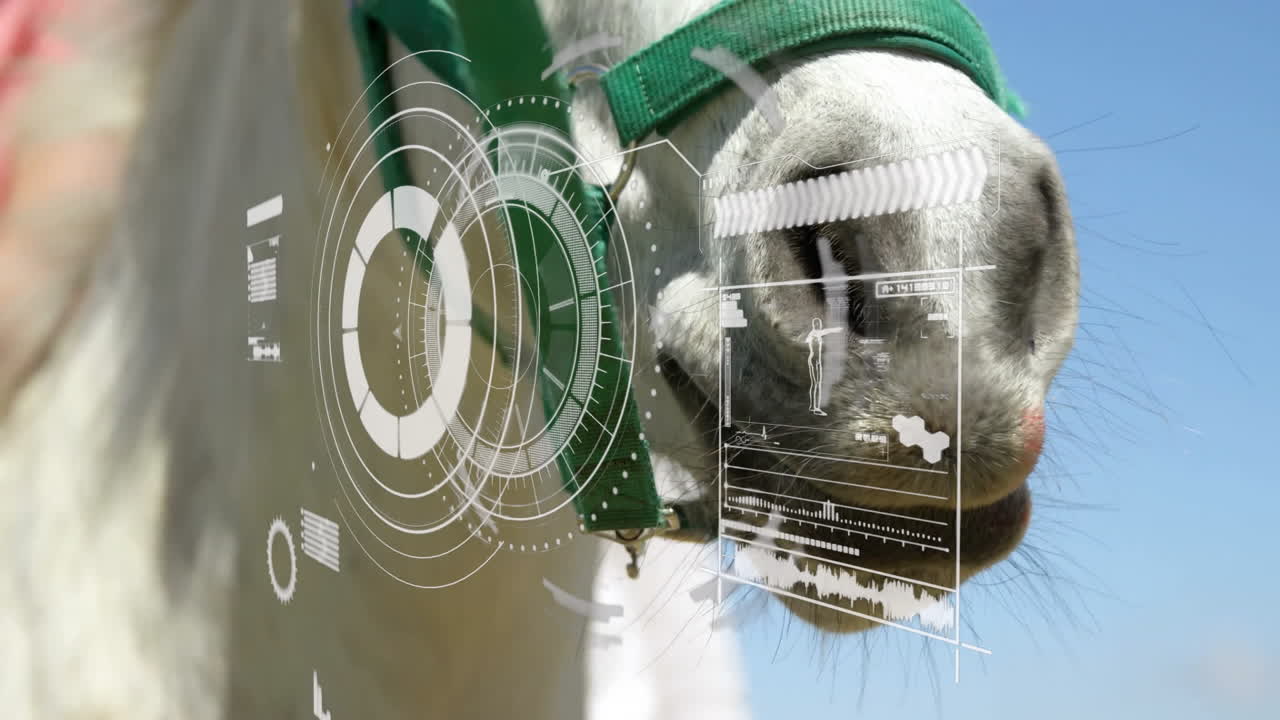 Horse muzzle wearing green halter being overlaid with translucent futuristic HUD graphics outdoors