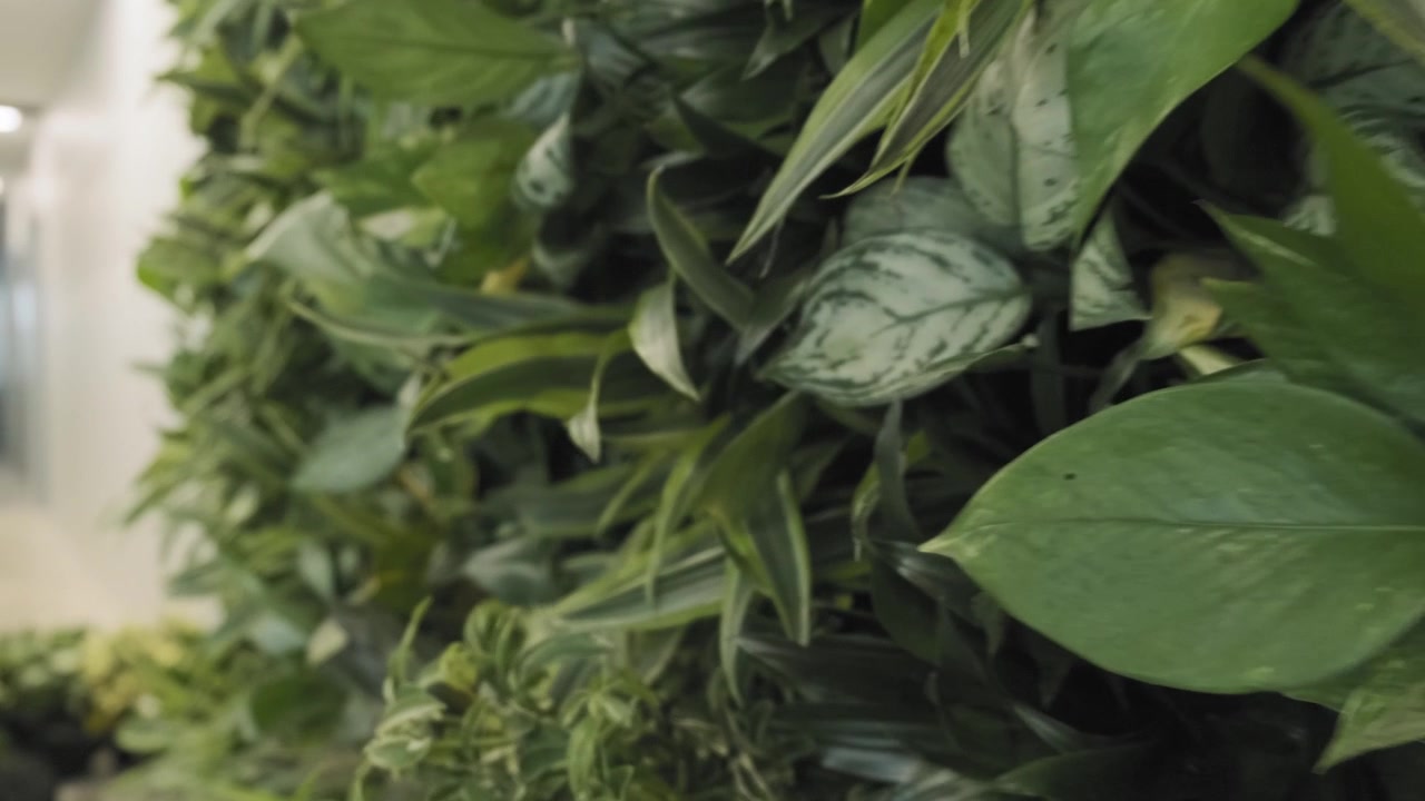 Esposizione di parete verde interna riempita con fiori e piante posizionati con cura per creare uno spazio ufficio moderno ed ecologico.
