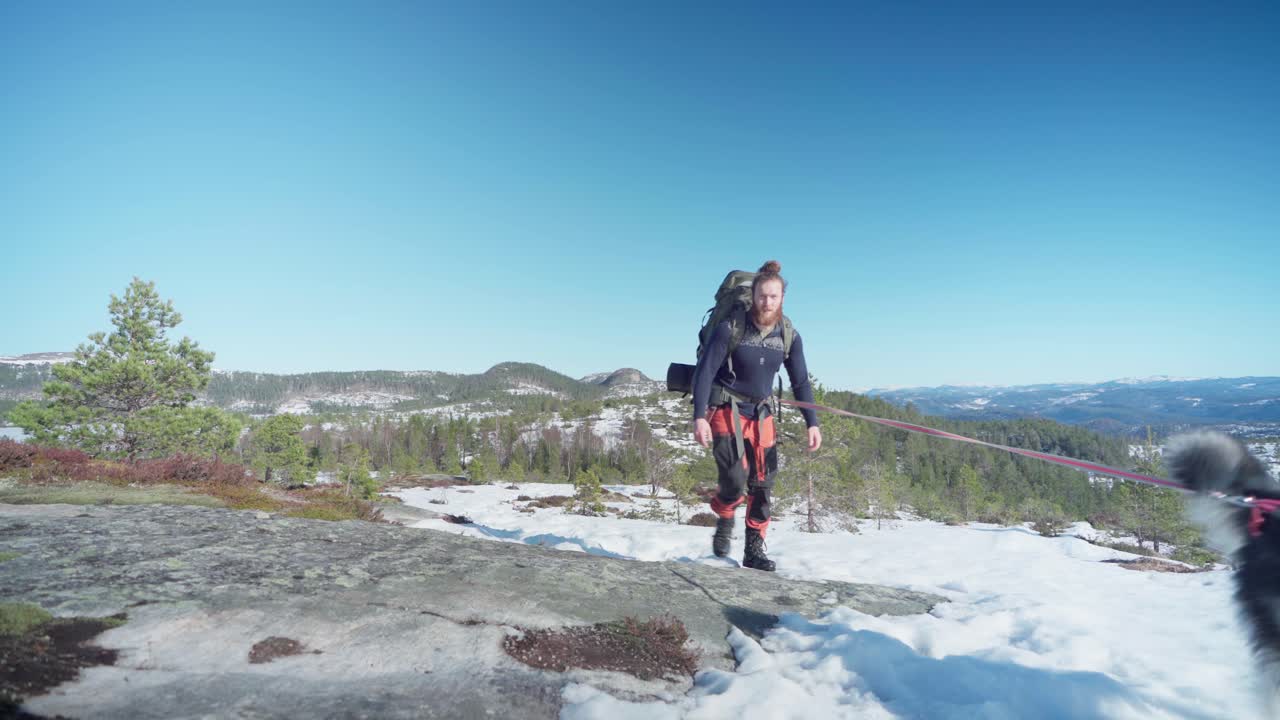 Karlı Dağda Tasmalı Alaska Malamutuyla Yürüyen Kampçı