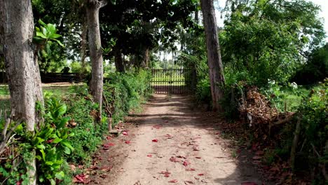 Drone-flight-along-a-private-access-road-to-the-gate-of-the-domain