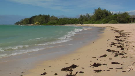 波浪在夏威夷的白色沙灘上滾動 1