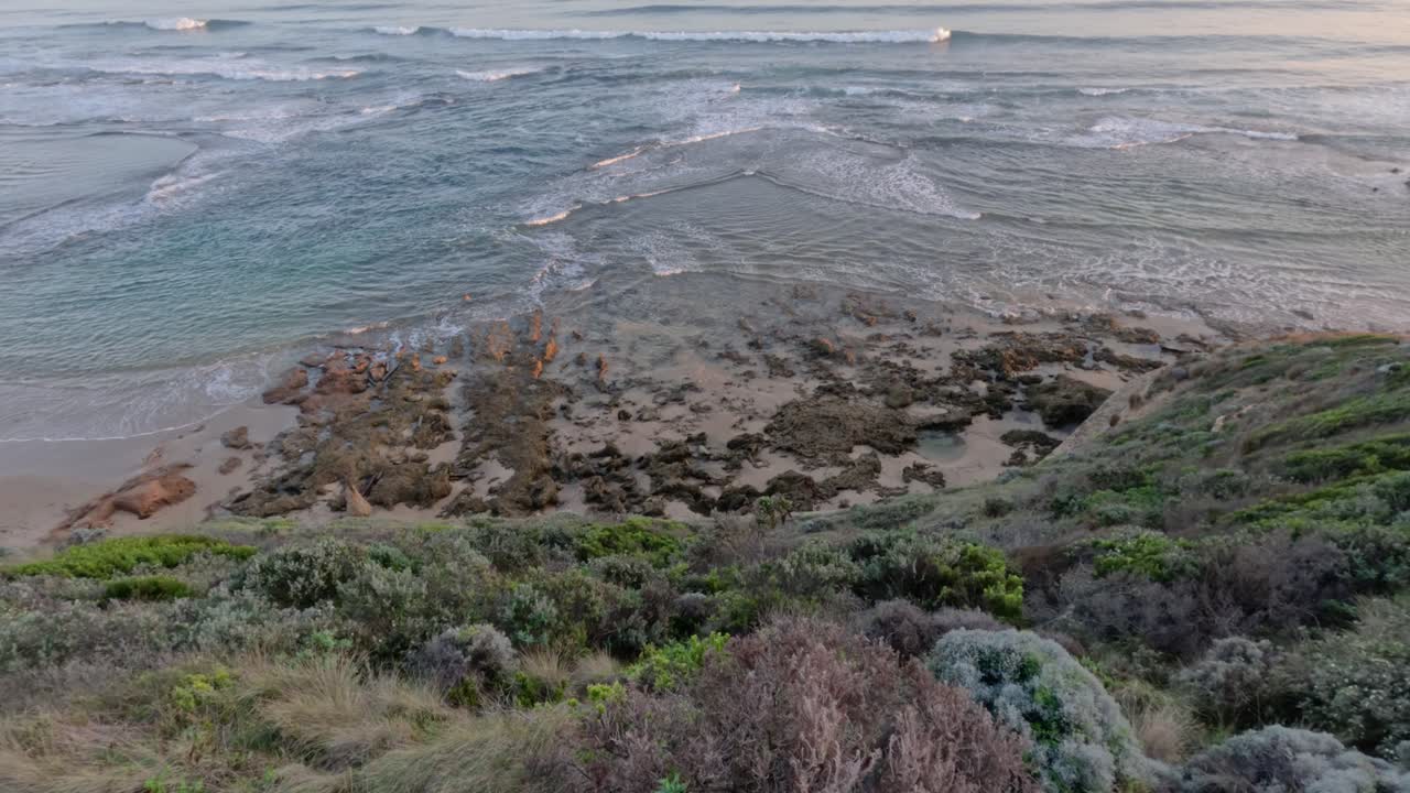 las olas chocando contra la orilla rocosa, la vegetación exuberante