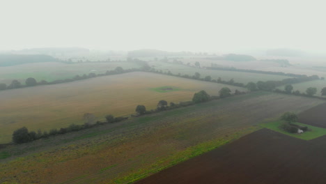 Arial:-Danish-pumpkin-field-on-a-miste-morning