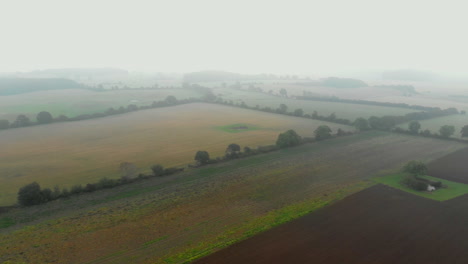 arial: danish pumpkin field on a miste morning