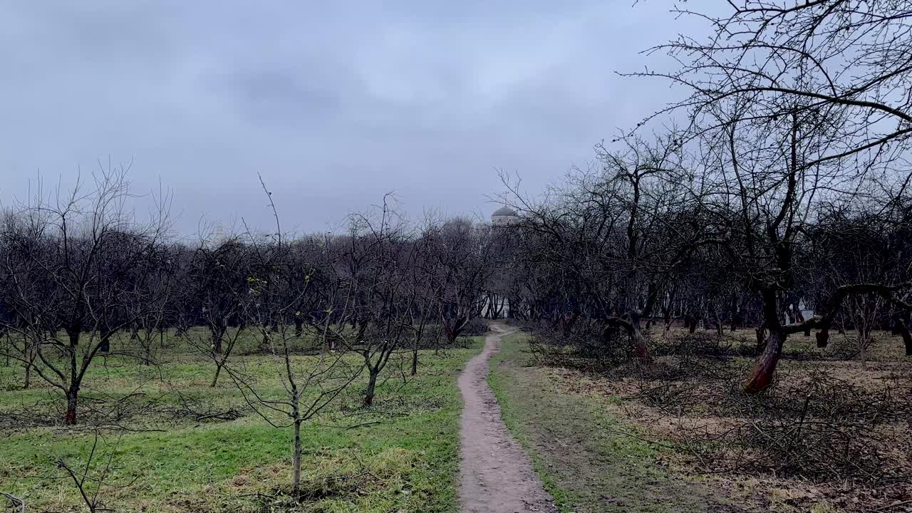 Dicembre russo senza neve e orsi