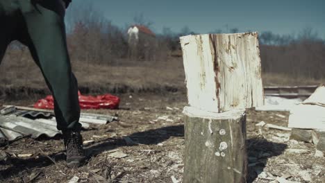 getting prepared for the winter with fire wood. cutting the wood