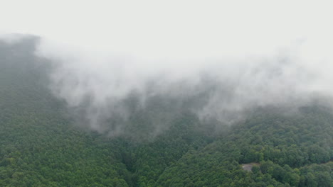 landscape view showing a mountainside covered in trees obscured by fog and low clouds creating a sense of depth and mystery overcast sky