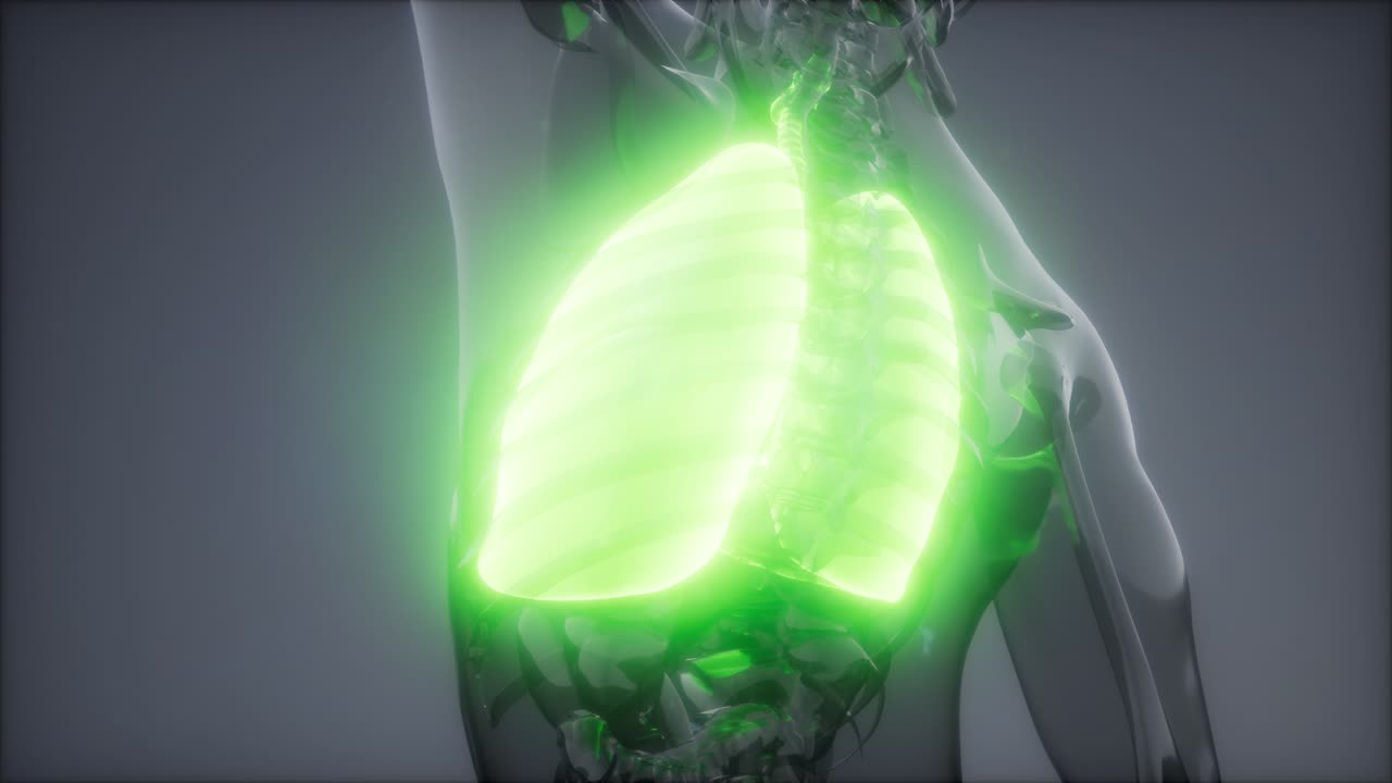 인간의 폐 방사선 검사