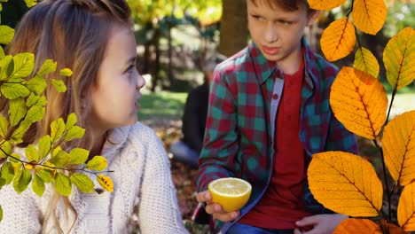 Animation-of-autumn-leaves-over-caucasian-boy-and-girl-with-lemon-in-park