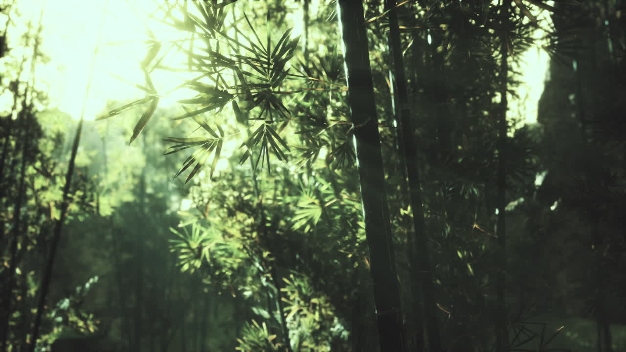 hojas de bambú en el humo