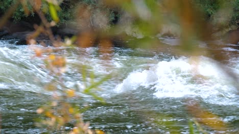 school house wave on the klamath river in northern california