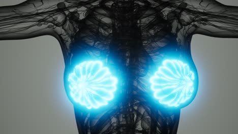 exploración médica del cáncer de mama de la mujer