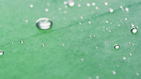 Micro-video-of-close-up-of-water-drops-with-copy-space-on-green-background