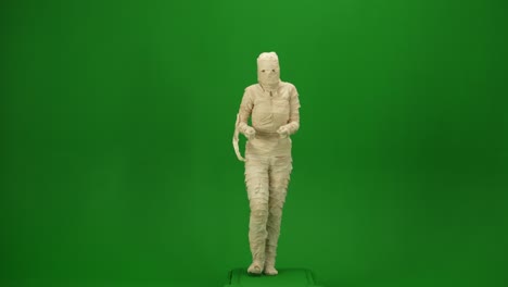 green screen isolated chroma key video capturing a mummy dancing and singing actively into the green screen isolated chroma key video capturing a mummy dancing and singing actively into the microphone haloween holidays mock up workspace for your promotion clip or advertisement