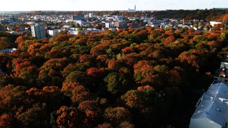 Una-Hermosa-Vista-Aérea-Del-Denso-Terreno-Boscoso-Con-Colorido-Follaje-Otoñal,-Hojas-Naranjas-Y-Rojas-En-Kaunas,-Lituania