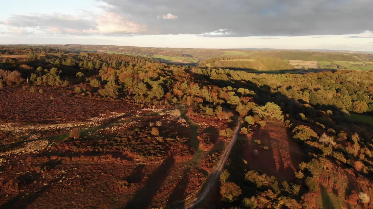 아름다운 나무와 헤더의 황금색을 보여주는 화재 비콘 힐 시드머스 데본 잉글랜드의 공중 패닝 오른쪽 샷