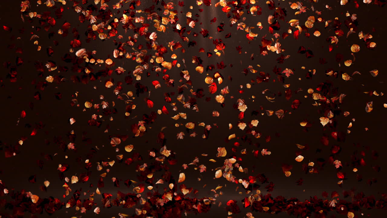 Looped Light Rays Background with Autumn Leaves Leaf Falling on the Ground Loop