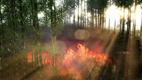 viento soplando en un árbol de bambú en llamas durante un incendio forestal