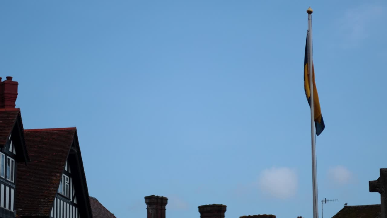 은 파란 하늘을 향해 흔들리는 발