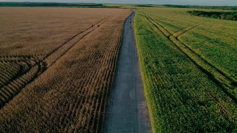 amazon deforestation impact, protein cultivation, brazilian food export