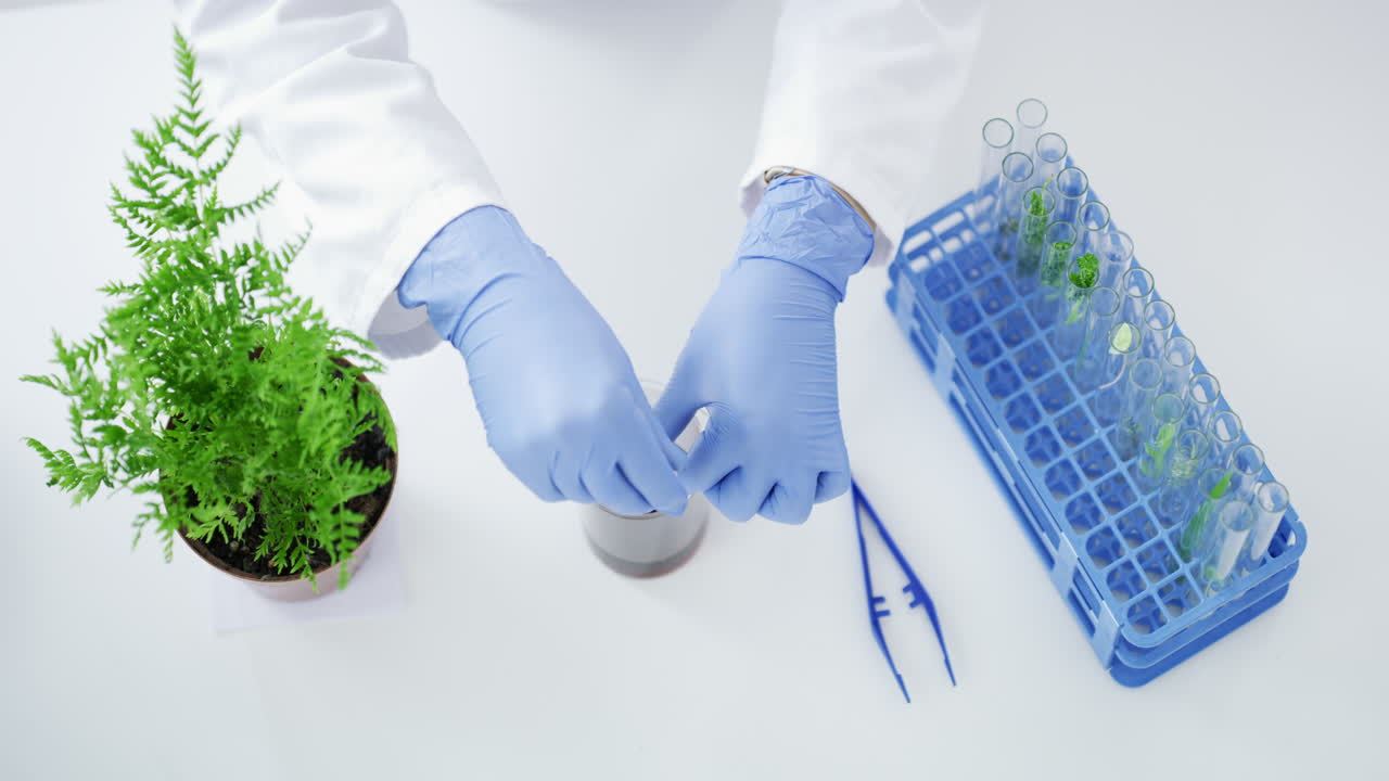 모든 것을 바 ⁇  수 있는 과학적 테스트