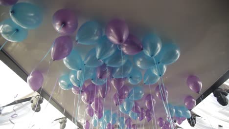 purple and blue balloons hanging from ceiling