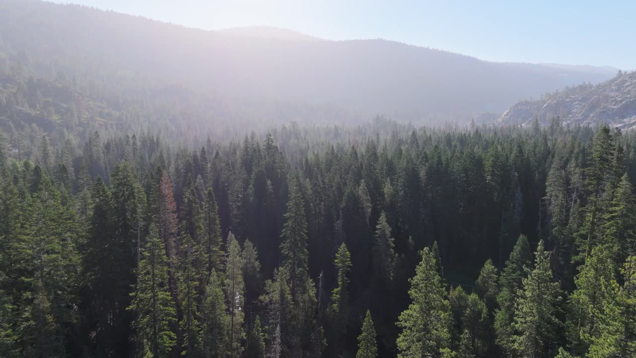 A nice simple aerial shot of the Northern Sierra's forest.