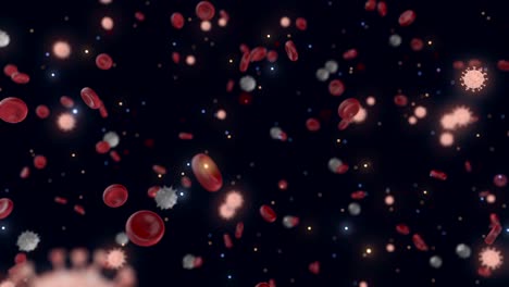 células sanguíneas y virus