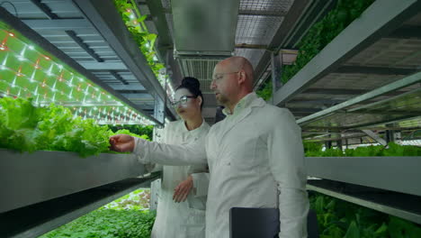 reverse-camera-movement-along-the-corridor-a-modern-vertical-farm-with-hydroponics-scientists-in-white-coats-engaged-in-the-cultivation-of-vegetables-and-plants