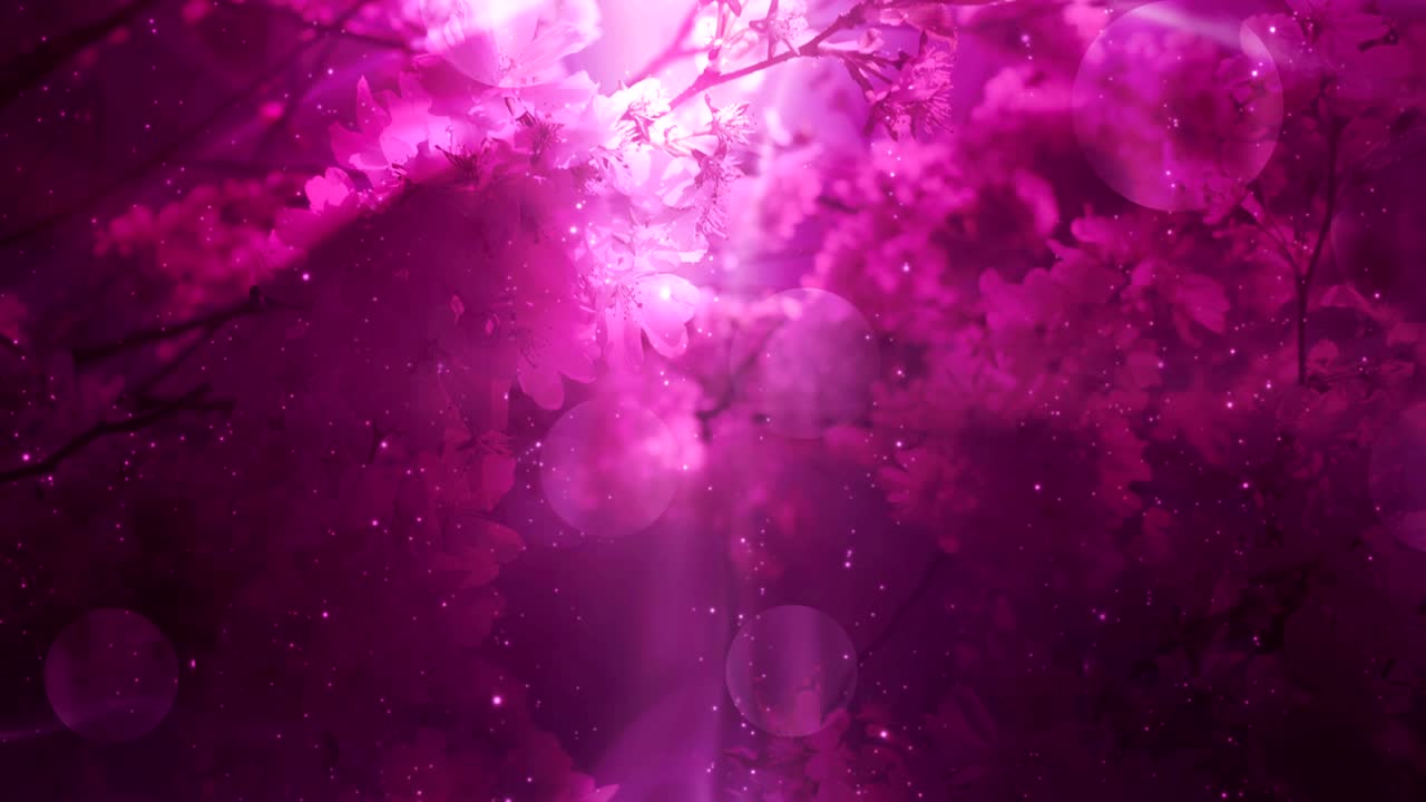 bucle de fondo de flor púrpura