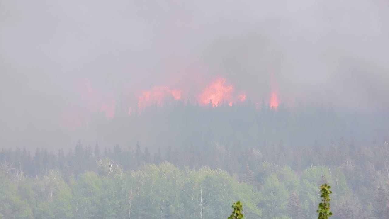 Wildfire - Destructive Fire Burning The Forest In Fox Creek, Alberta, Canada