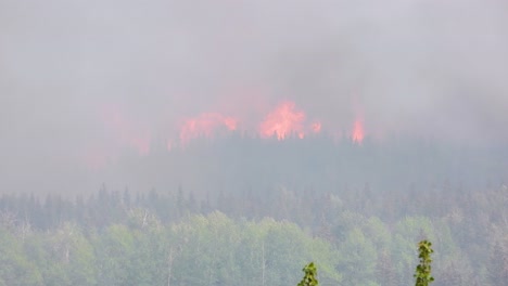 Incendio-Forestal:-Incendio-Destructivo-Que-Quema-El-Bosque-En-Fox-Creek,-Alberta,-Canadá