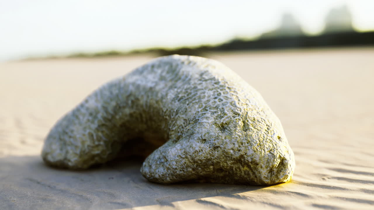 Unique rock formation on sandy beach during golden hour