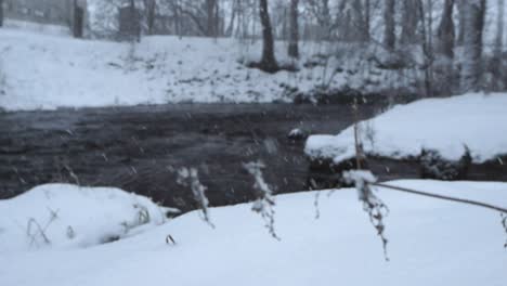 changing focus low angle footage of snow falling in slow motion during winter time on and around dark river water that is in the background with white fluffy snow covered river banks, trees and grass.