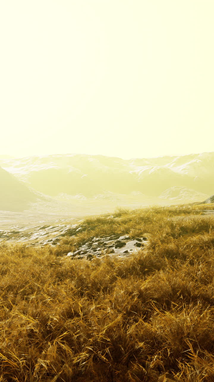 hermosa puesta de sol sobre el campo de hierba y las montañas