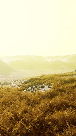 beautiful sunset over grass field and mountains