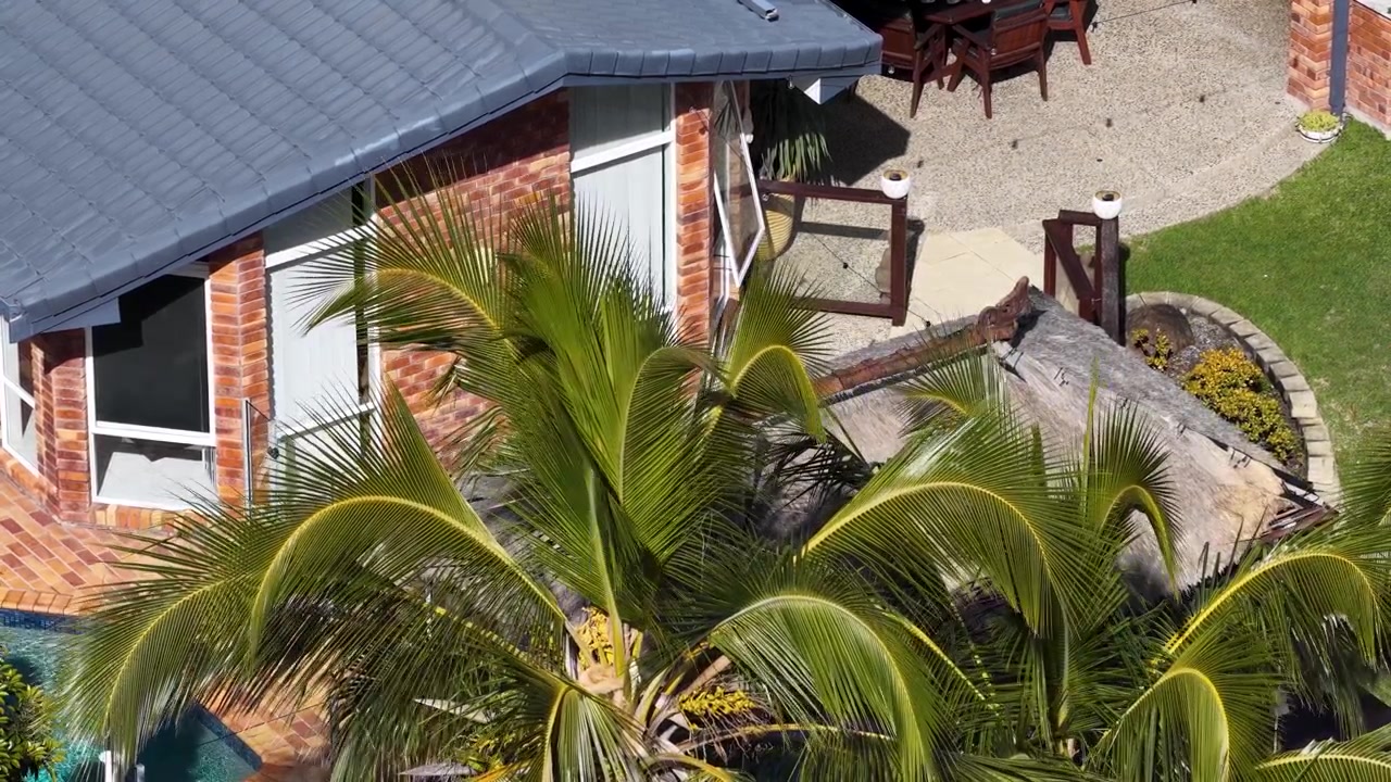 Plano aéreo de uma palmeira balançando sobre um quintal suburbano com casa de tijolos.