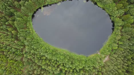 drone climbs to reveal beautifull egg shaped lake in the middle of a forrest