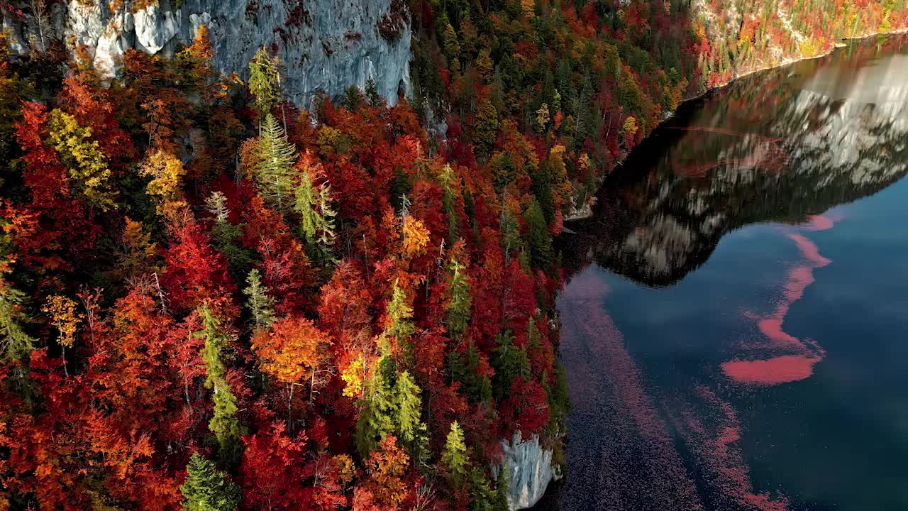 Aerial view of stunning autumn foliage colors at lake Toplitzsee in Austria