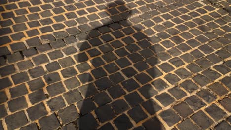 un hombre que proyecta su propia sombra mientras está parado en el pavimento de una calle de ladrillos mientras otras personas pasan proyectando sus propias sombras también