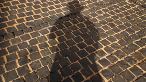 a man casting his own shadow while standing on a brick street pavement as other people pass by casting their own shadows as well