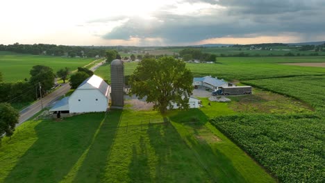 rural farmstead at sunset with grazing cattle, a classic barn, silo, and expansive green fields