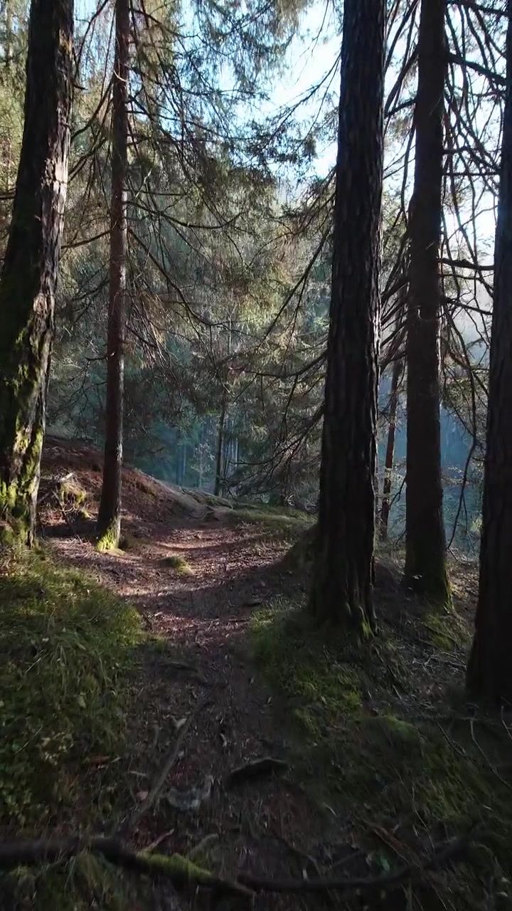 Toni graduati evidenziano il paesaggio montuoso aspro del Trentino in formato verticale. Perfetto per documentari sulla natura o contenuti di viaggio avventura