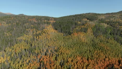 aerial dolly over colorful mountain forest in fall